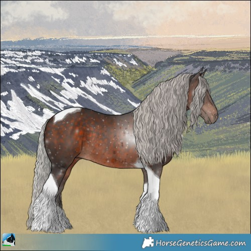 Horse Color:Silver Brown Mushroom Tobiano Rabicano 