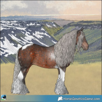 Horse Color:Silver Brown Mushroom Tobiano Rabicano