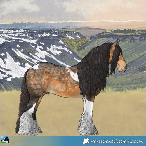 Horse Color:Buckskin Ice Tobiano Rabicano 