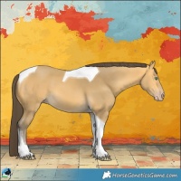 Horse Color:Amber Cream Champagne Tobiano 