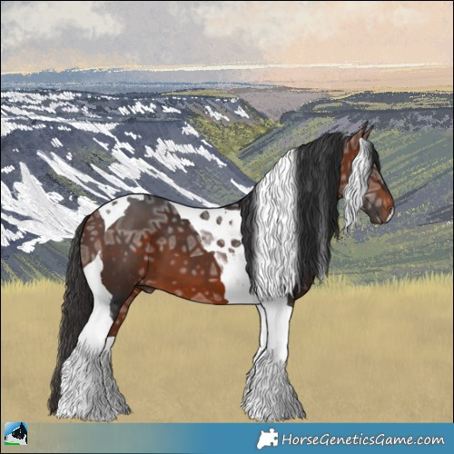 Horse Color:Bay Ice Tobiano 