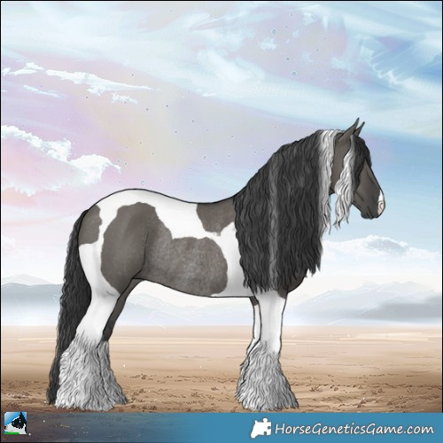 Horse Color:Grullo Tobiano Rabicano 