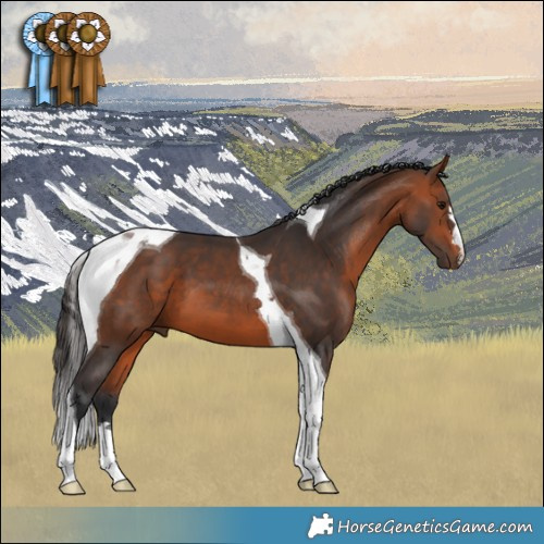 Horse Color:Bay Tobiano 