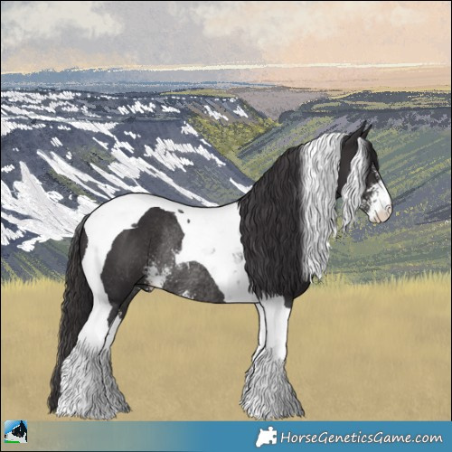 Horse Color:Smoky Black Sabino Tobiano Rabicano 