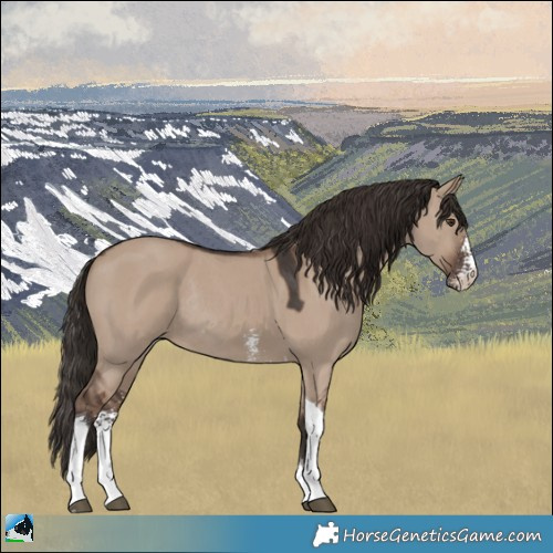 Horse Color:Liver Red Dun Sabino Tobiano Rabicano 