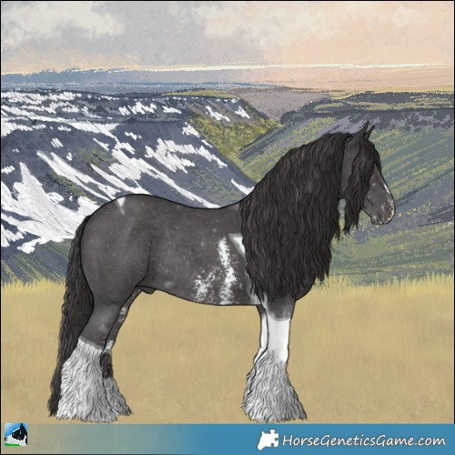 Horse Color:Smoky Black Mushroom Sabino Tobiano Rabicano 