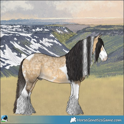Horse Color:Buckskin Ice Dun Sabino Tobiano Rabicano Brindle 