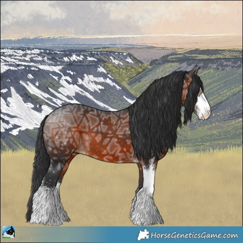 Horse Color:Brown Ice Sabino 