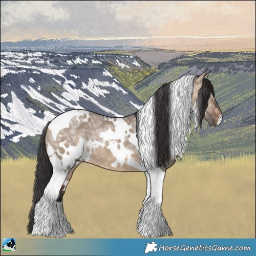 Horse Color:White Spotted Brown Ice Dun Tobiano