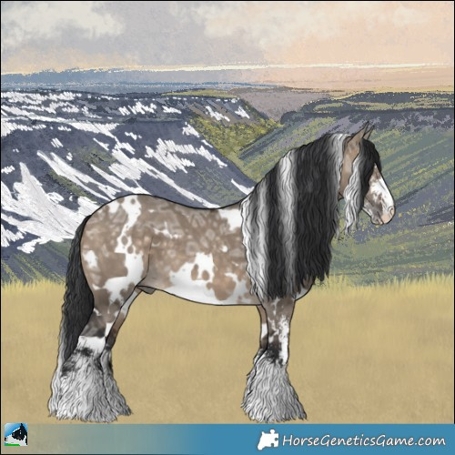 Horse Color:White Spotted Brown Ice Dun Sabino 