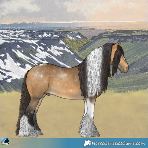 Horse Color:Buckskin Tobiano Rabicano 