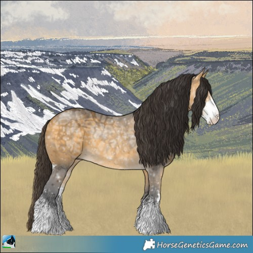 Horse Color:Buckskin Ice Sabino Rabicano