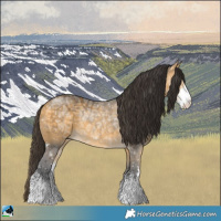 Horse Color:Buckskin Ice Sabino Rabicano