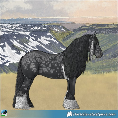 Horse Color:Black Ice Tobiano 
