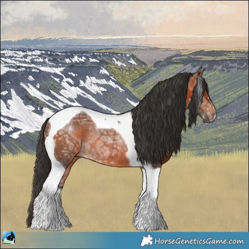 Horse Color:Bay Ice Tobiano Rabicano