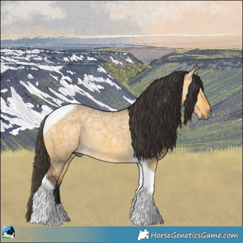 Horse Color:Buckskin Ice Dun Tobiano Rabicano 