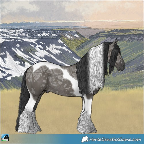 Horse Color:Grullo Ice Tobiano Rabicano 