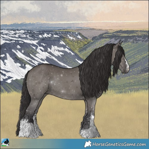 Horse Color:Smoky Grullo Mushroom Sabino Rabicano 