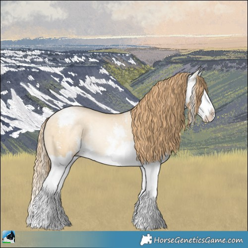 Horse Color:Buckskin Pearl Dun Mushroom Sabino Splash Rabicano 