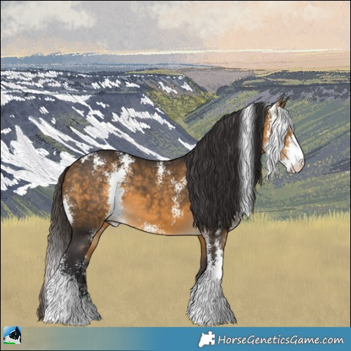 Horse Color:Buckskin Sabino 