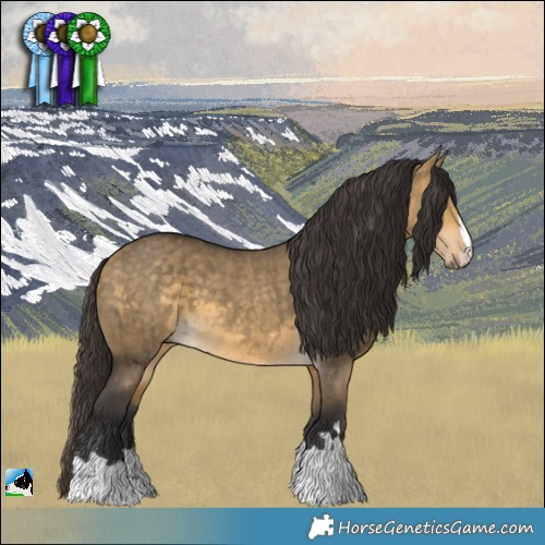 Horse Color:Buckskin Dun Mushroom Brindle