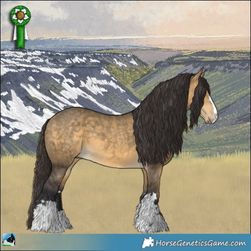 Horse Color:Buckskin Dun Mushroom Brindle 