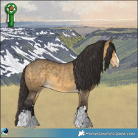 Horse Color:Buckskin Dun Mushroom Brindle