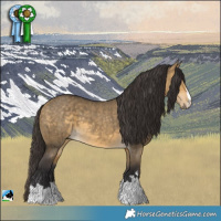 Horse Color:Buckskin Dun Mushroom Brindle 