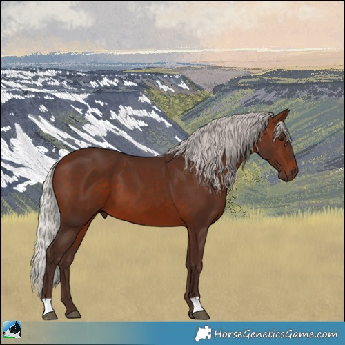 Horse Color:Silver Brown 