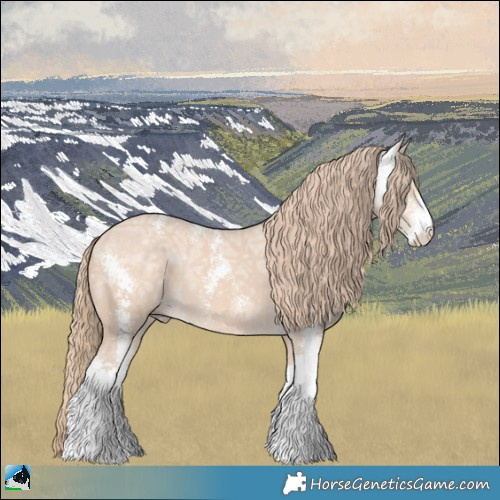 Horse Color:Perlino Ice Sabino 