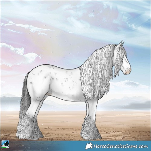 Horse Color:Black Sabino Rabicano 