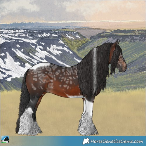 Horse Color:Brown Ice Tobiano 