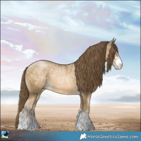Horse Color:Smoky Black Ice Pearl 