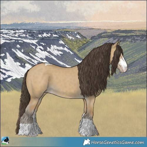 Horse Color:Classic Cream Champagne Dun Sabino Tobiano 