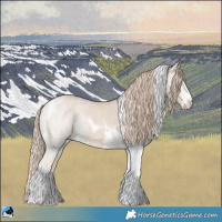 Horse Color:Smoky Creme Mushroom Sabino Tobiano Rabicano 