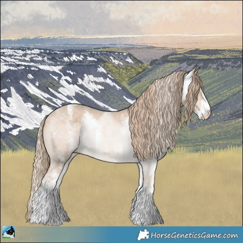 Horse Color:Perlino Mushroom Sabino Rabicano 