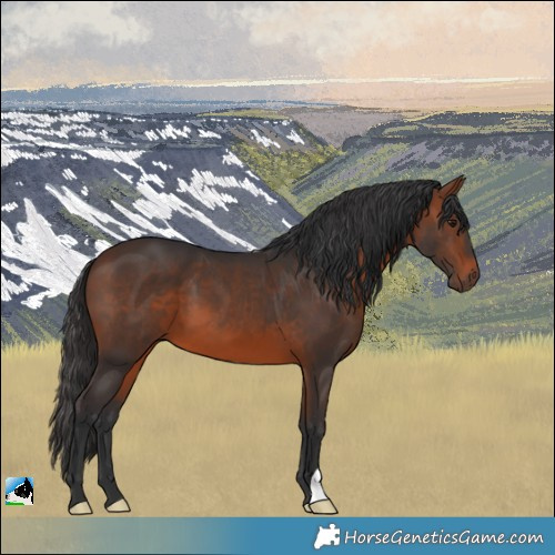 Horse Color:Brown 