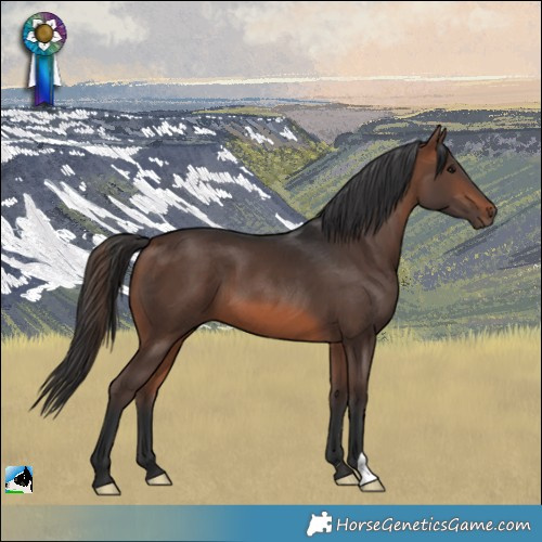 Horse Color:Brown 