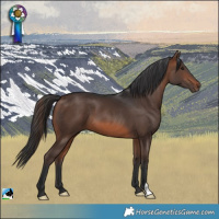Horse Color:Brown 
