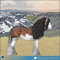 Horse Color:Brown Ice Sabino Splash