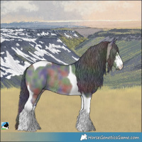 Horse Color:Nacre Smoky Grullo Sabino Tobiano Rabicano