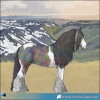 Horse Color:Nacre Smoky Grullo Sabino Tobiano Rabicano 