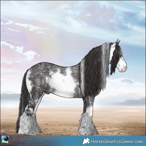 Horse Color:Smoky Black Ice Mushroom Sabino Rabicano 