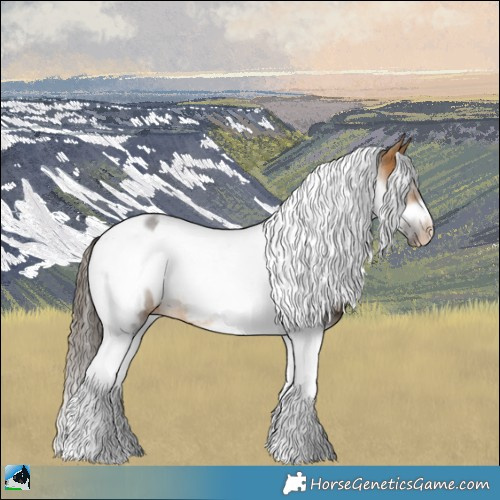Horse Color:Buckskin Sabino Tobiano Frame Appaloosa Rabicano 