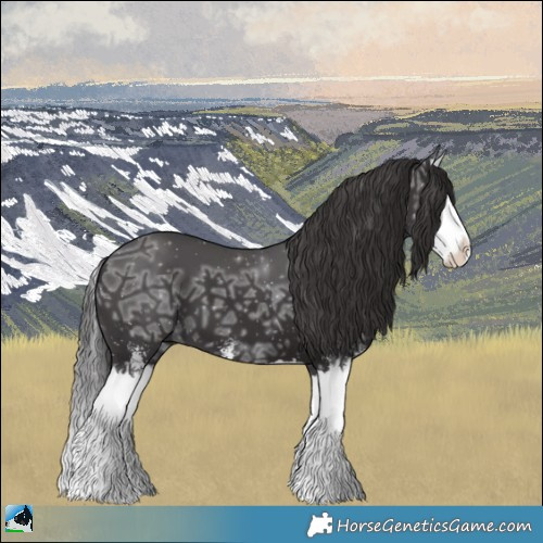 Horse Color:Smoky Black Ice Sabino Splash