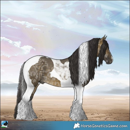 Horse Color:Buckskin Ice Dun Tobiano Brindle 