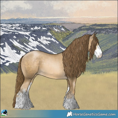 Horse Color:Smoky Black Pearl Sabino 