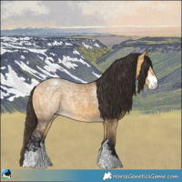 Horse Color:Buckskin Ice Dun Sabino 