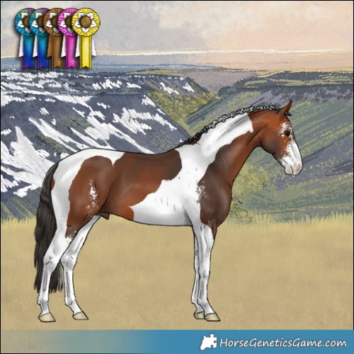 Horse Color:Bay Sabino Tobiano 