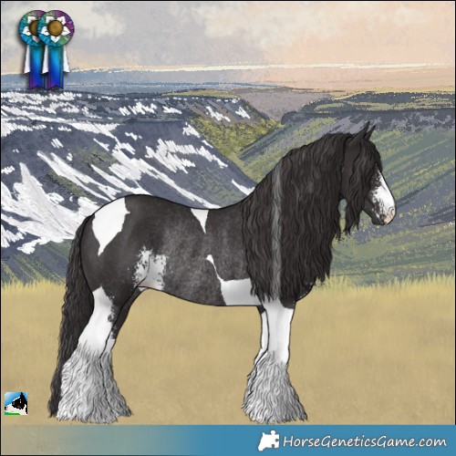 Horse Color:Smoky Black Sabino Tobiano Rabicano